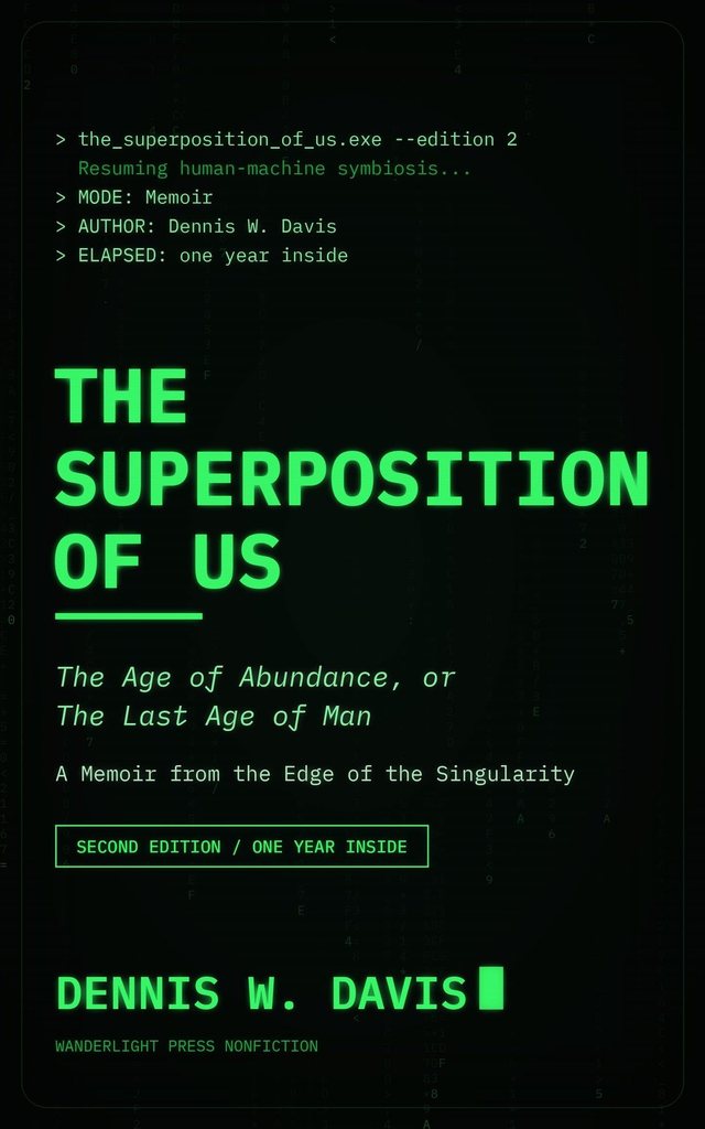 The Superposition of Us cover